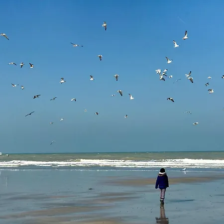 La Falaise Bleue - Vue - A Pied Nyaraló