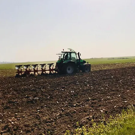 La Falaise Bleue - Vue - A Pied Nyaraló Veules-les-Roses
