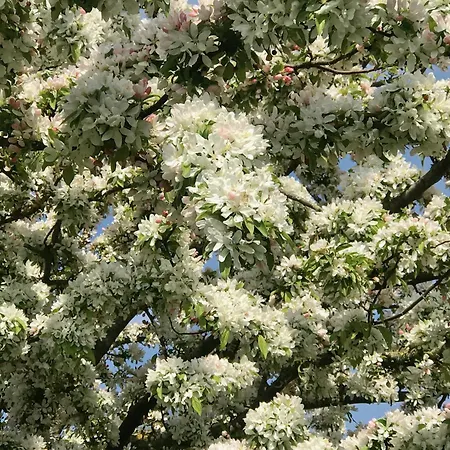 La Falaise Bleue - Vue - A Pied *
