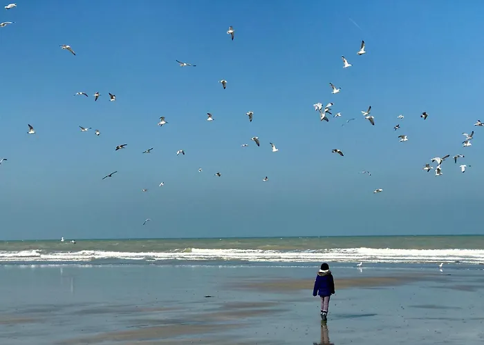 La Falaise Bleue - Vue - A Pied Holiday home