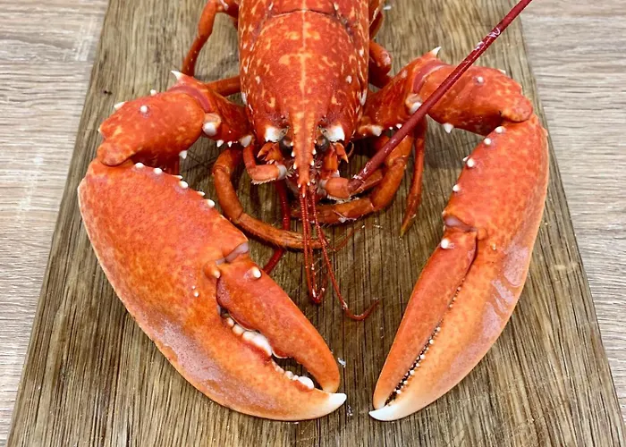 La Falaise Bleue - Vue - A Pied Holiday home