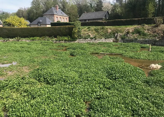 La Falaise Bleue - Vue - A Pied Holiday home *
