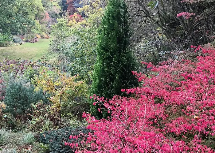La Falaise Bleue - Vue - A Pied Holiday home Veules-les-Roses